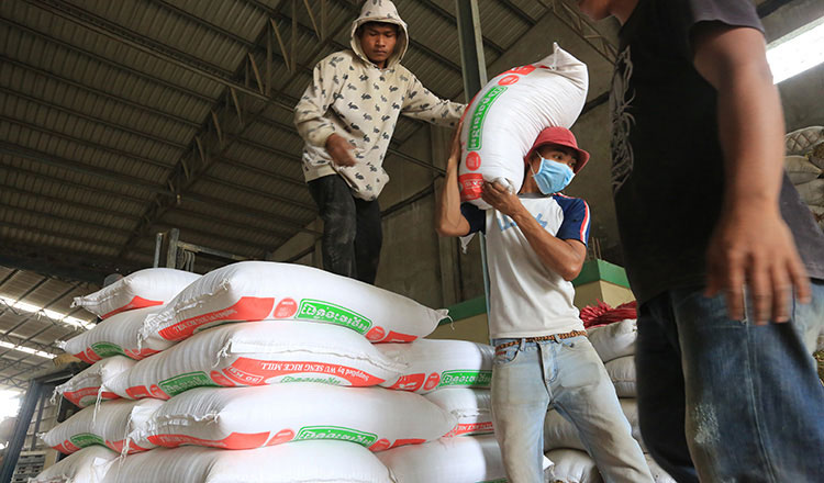 Cambodia earns $209 mln from milled rice export in first 4 months